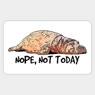 Funny Lazy Hippo Sticker